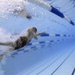 Sortie cohésion de la section reliure